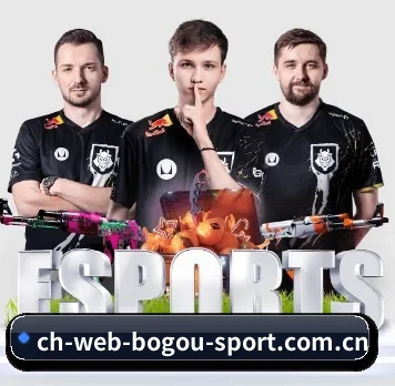 博狗体育 APP 界面